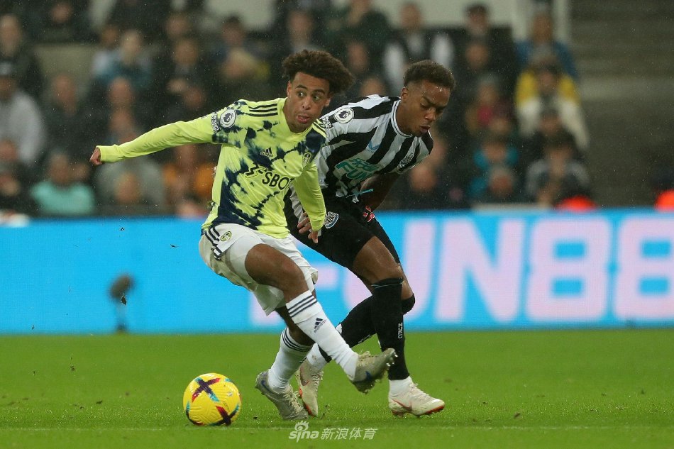 整体来看 整体来看